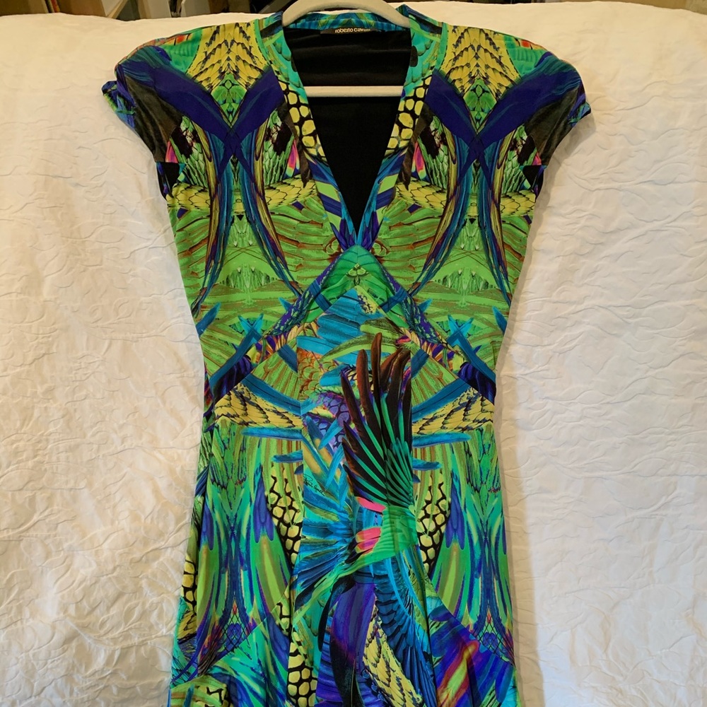 Roberto Cavalli Dress